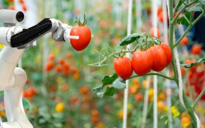 ¿Cómo proteger la tecnología en la agroindustria?